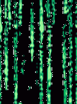 pic for The Matrix